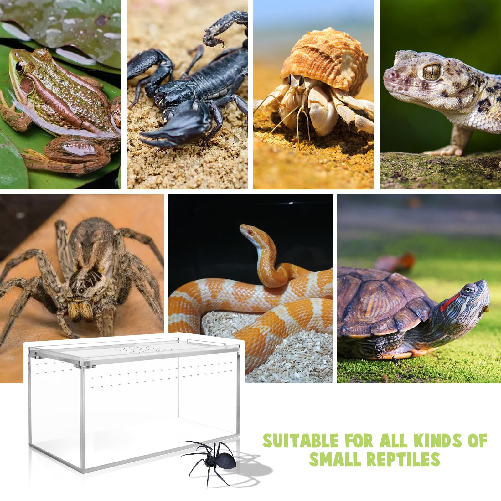 8x4x4 Inch Small Acrylic Tarantula Enclosure with Magnetic Lock - Thickened Terrarium for Isopods, Spiders, Reptiles & Lizards | Perfect for Juvenile Tarantula Habitat & Pet Display