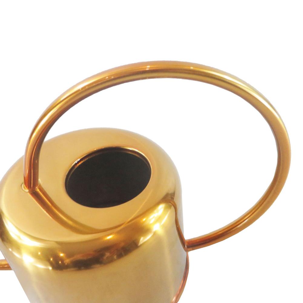 Premium Stainless Steel Watering Can for Plants - 1 Gallon Rust-Proof Outdoor Garden Watering Pot with Long Spout - Perfect for Indoor Houseplants, Flower Beds, and Balcony Gardens