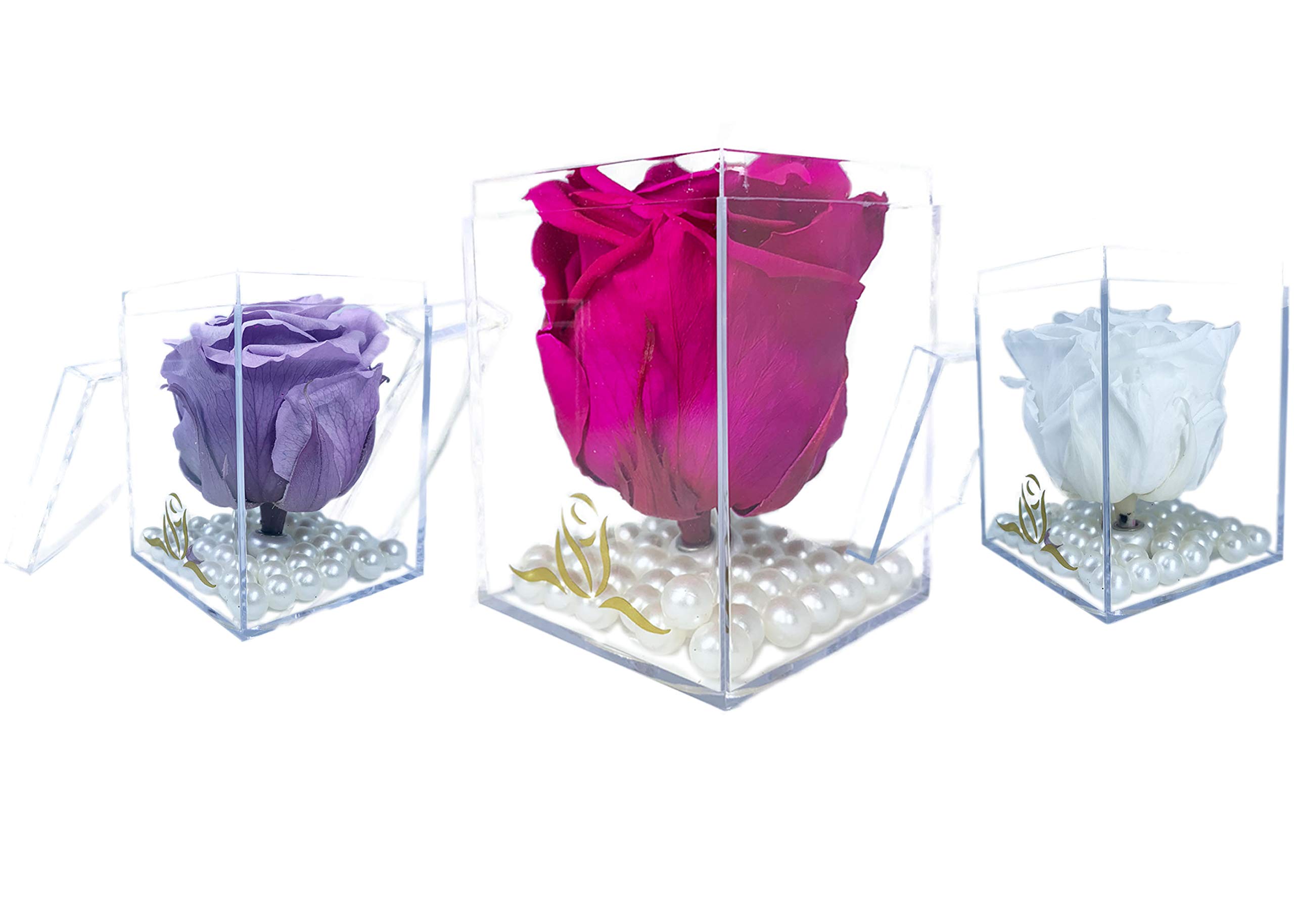 Single Real Long Lasting Preserved Rose in Light Blue Plastic Cube - Perfect for Valentine's Day Gifts, Wedding Decor & Romantic Home Decorations