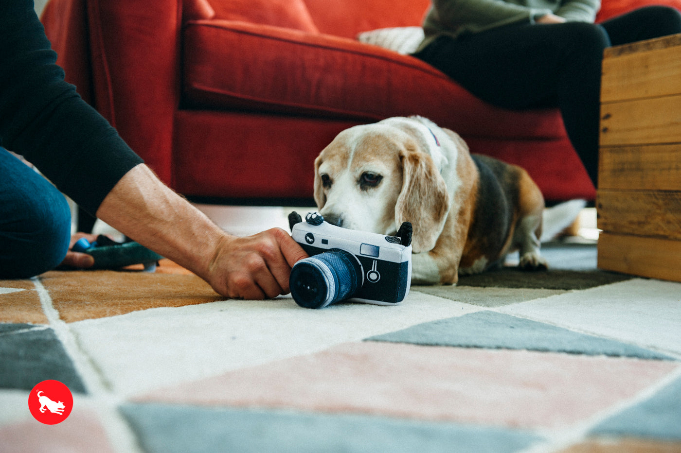 Globetrotter Plush Dog Toy Camera - Durable & Fun Chew Toy for Small & Large Dogs | Perfect for Playtime, Training & Travel