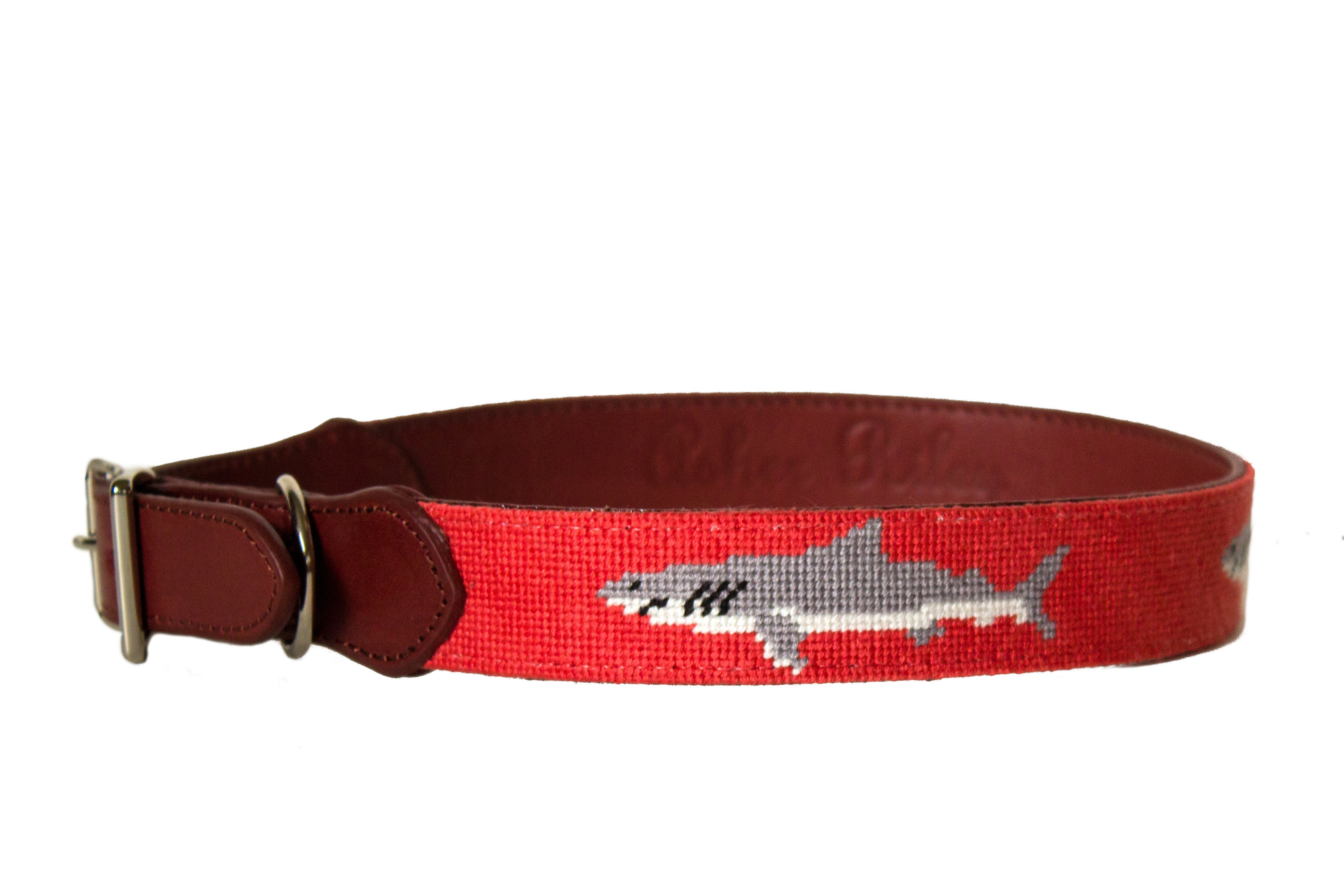 SHARK NEEDLEPOINT DOG COLLAR™ - Durable & Stylish Padded Dog Collar for Small & Medium Dogs - Perfect for Training, Walks & Outdoor Adventures