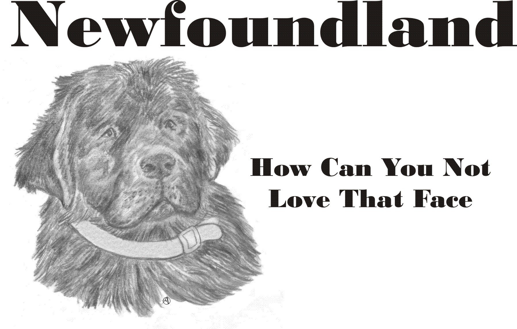 Cahoon's Closet Newfoundland Dog Lover T-Shirt - Funny Pet Owner Apparel for Dog Enthusiasts - Perfect for Casual Wear, Dog Parks & Pet Lovers Gatherings