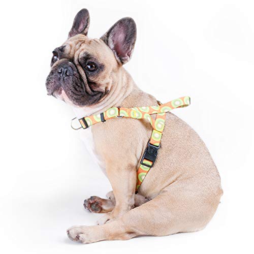Kiwi Fruit Harness