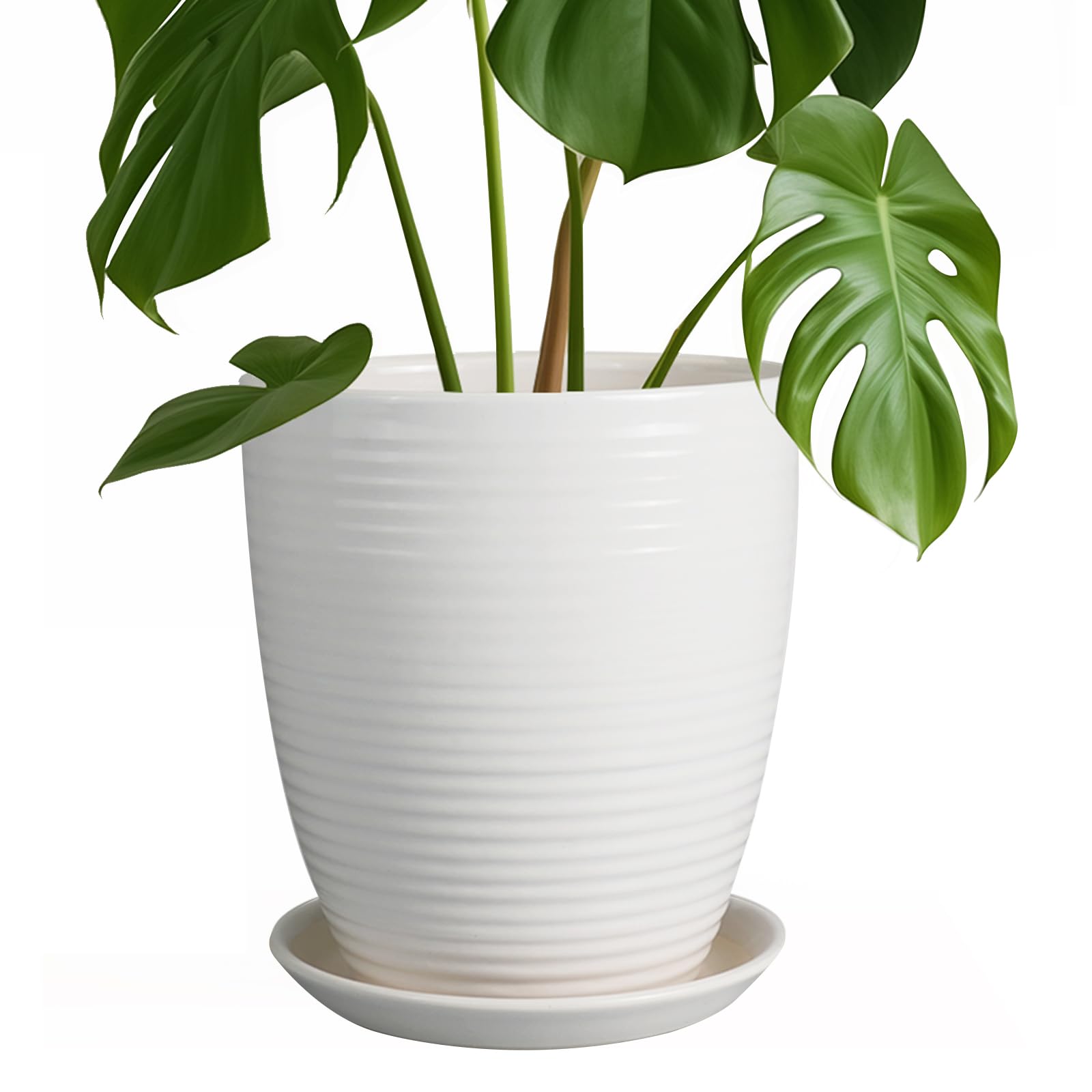 8 Inch White Ceramic Planter Pot with Drainage Hole & Saucer - Modern Round Flower Pot for Indoor & Outdoor Plants - Perfect for Home Decor, Office, Garden, and Patio