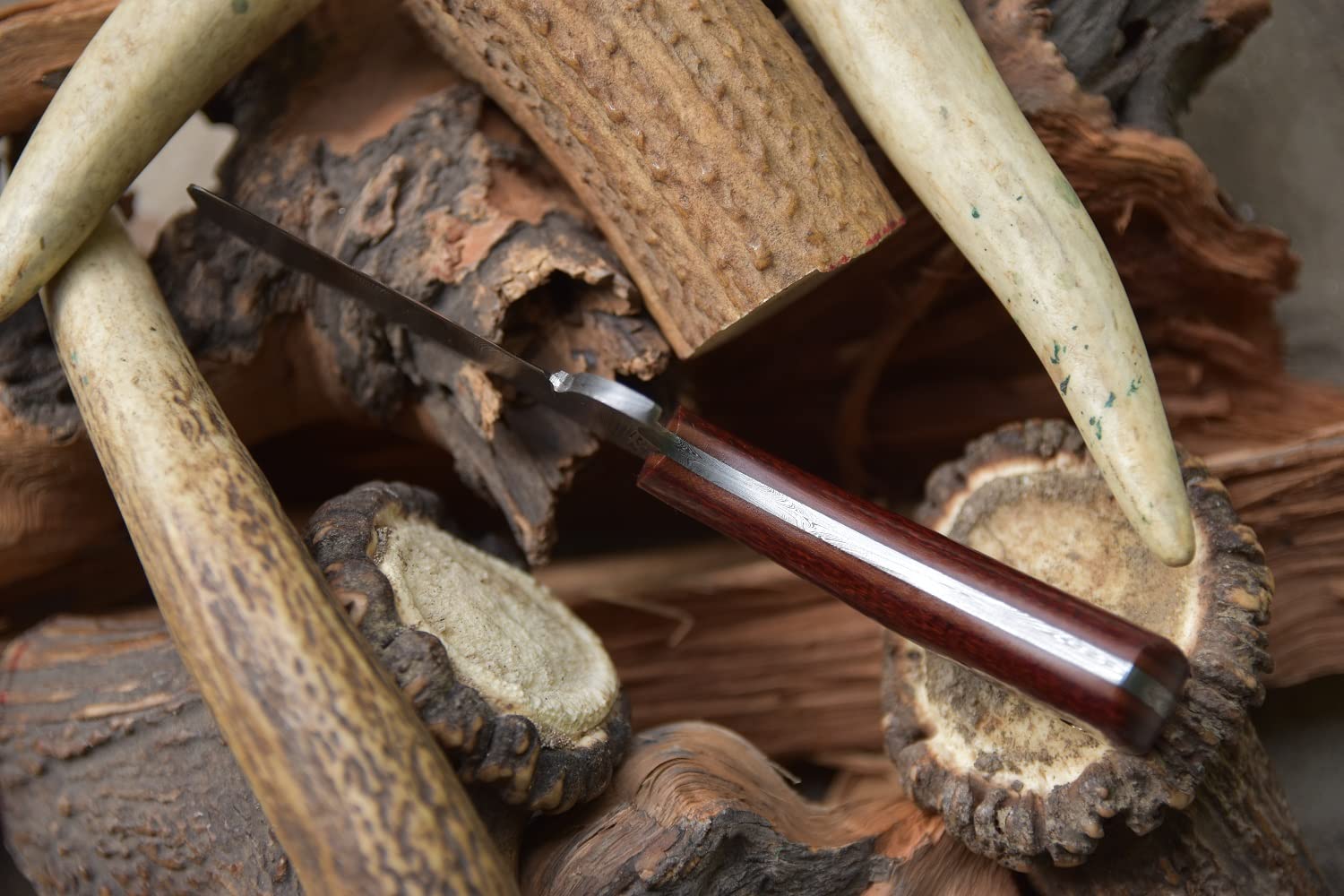 Knives Ranch Small Castrator with Finger Guard - Scarlet Micarta Handle - Cowboy Crossdraw Leather Sheath (3178-SCARLET) | Professional Livestock Castration Tool for Ranchers & Farmers | Perfect for Cattle, Goat & Sheep Castration Procedures