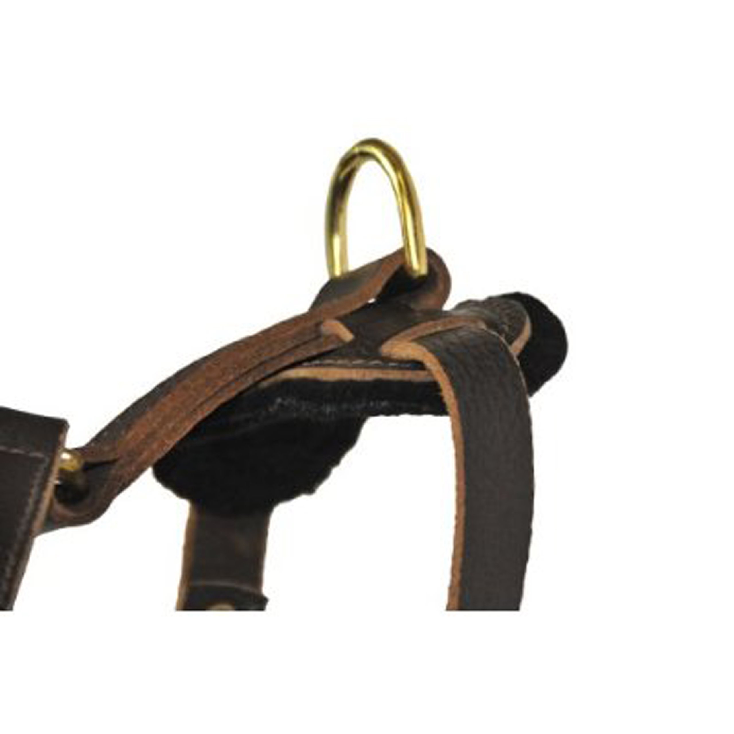 Dean & Tyler Victory Heavy-Duty Solid Brass Hardware Dog Harness with Handle - Large Size (31-41 Inch Girth) for Training, Walking & Outdoor Adventures - Durable Brown Nylon for Active Dogs