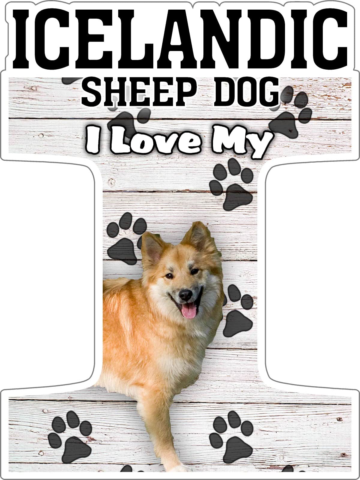 I Love My Icelandic Sheep Dog Fridge Magnet - Cute Dog Lover Gift for Home, Office & Dorm Decor