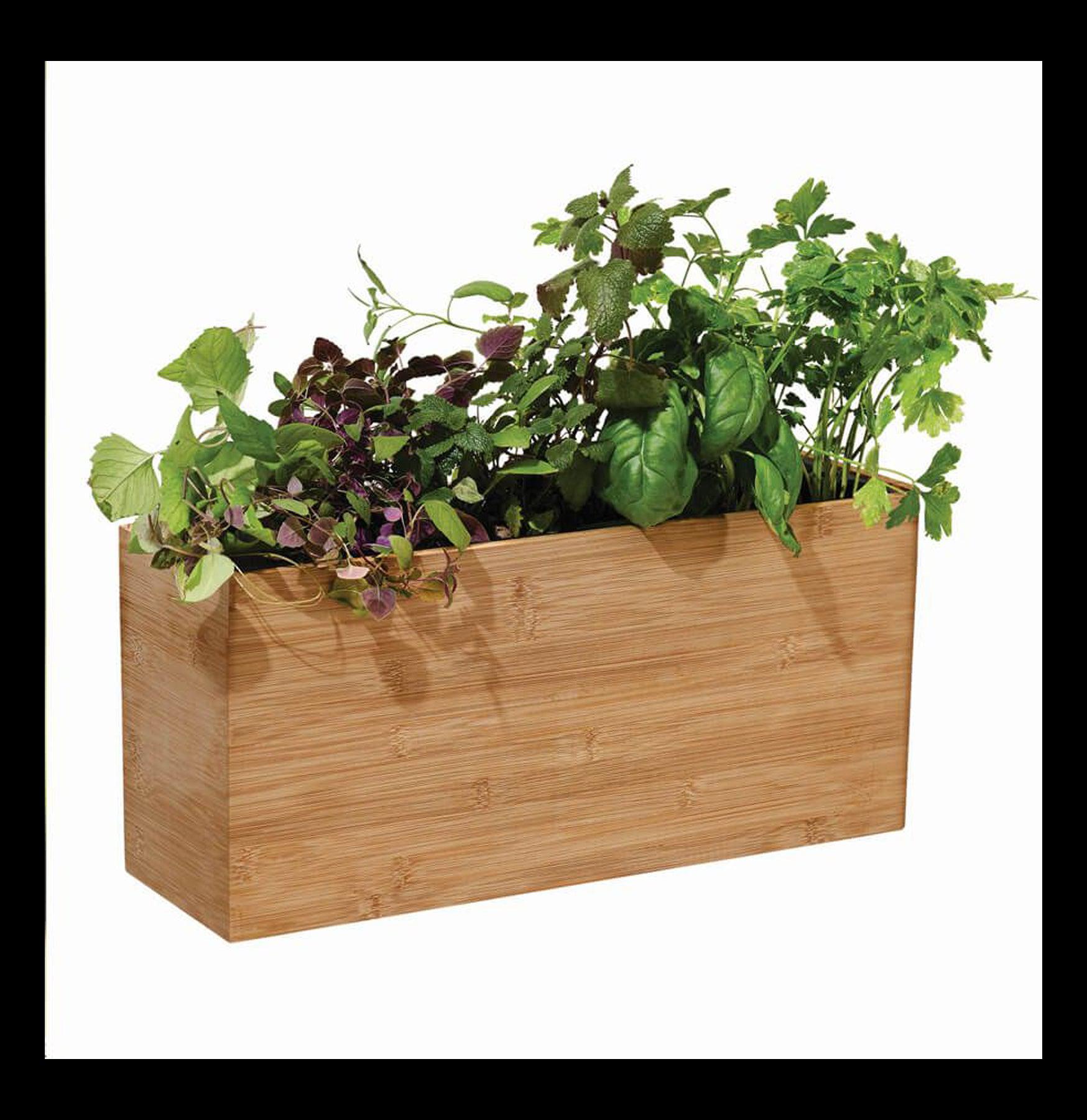 Smart Hydroplanter - Self-Watering Planter for Indoor Plants | Perfect for Home, Office & Garden Decor