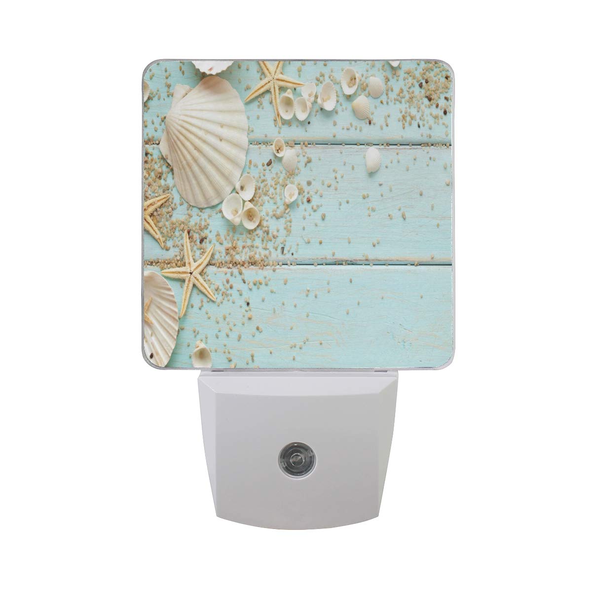 Seashell LED Night Light - Auto On/Off for Bedroom, Bathroom & Hallway