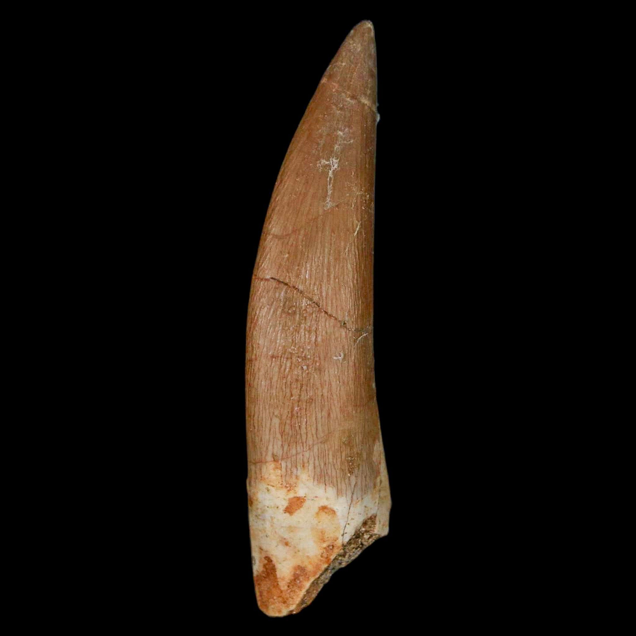 XL 2.2