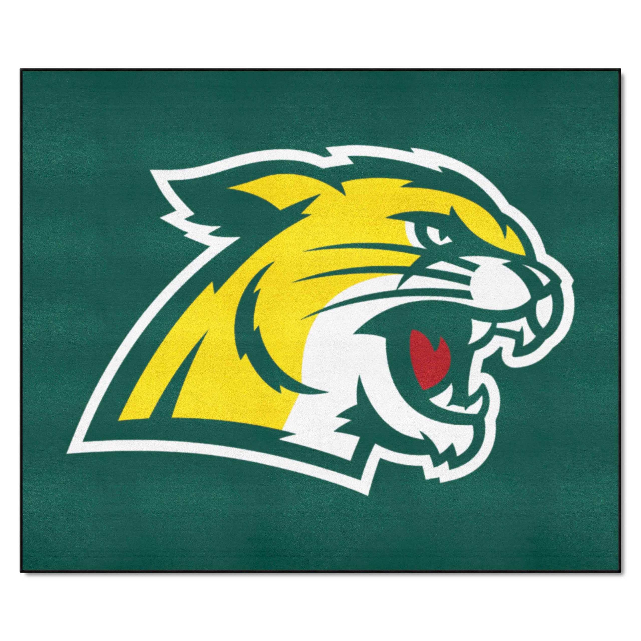 FANMATS 2008 Northern Michigan Wildcats Tailgating Rug - 5ft x 6ft College Sports Fan Mat, Durable Indoor Outdoor Decor for Game Room, Man Cave, Tailgate Parties & Home Decor