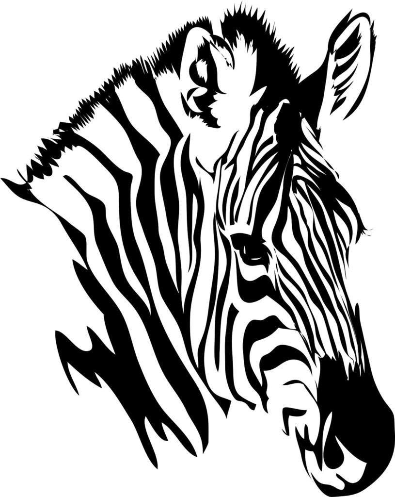 Zebra Wall Decals for Kids Room - Peel and Stick Vinyl Stickers - Easy DIY Wall Art Decor for Nursery, Bedroom, Playroom - Removable Animal Theme Decoration
