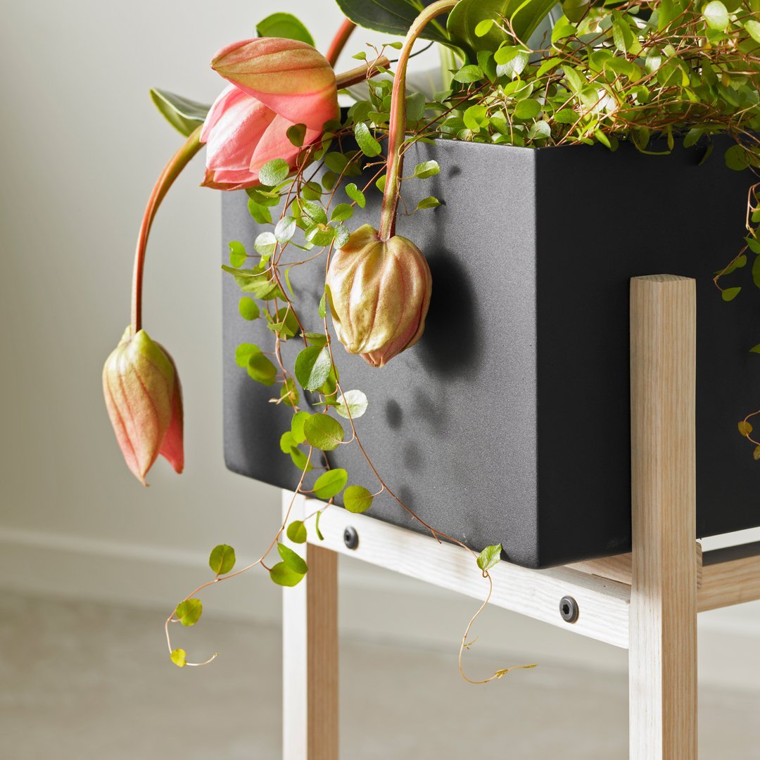 Botanic Standing Pot - Modern Decorative Plant Holder for Home & Office - Indoor & Outdoor Use for Succulents, Flowers & Herbs