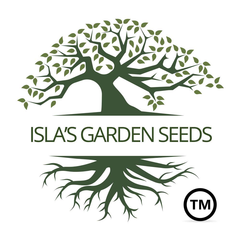 Organic White Bush Scallop Summer Squash Seeds for Planting - 30+ Heirloom Patty Pan Squash Seeds, Non-GMO, Cucurbita Pepo | Perfect for Home Gardens, Container Gardening & Fresh Cooking | Isla's Garden Seeds
