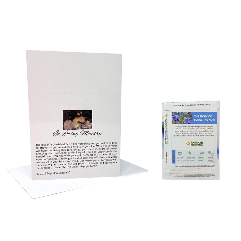Sympathy Card for Pet Loss with Forget Me Not Seeds - Memorial Gift Set for Dog & Cat Lovers | Thoughtful Condolence Gift for Bereaved Pet Owners | Perfect for Funerals, Memorials & Healing
