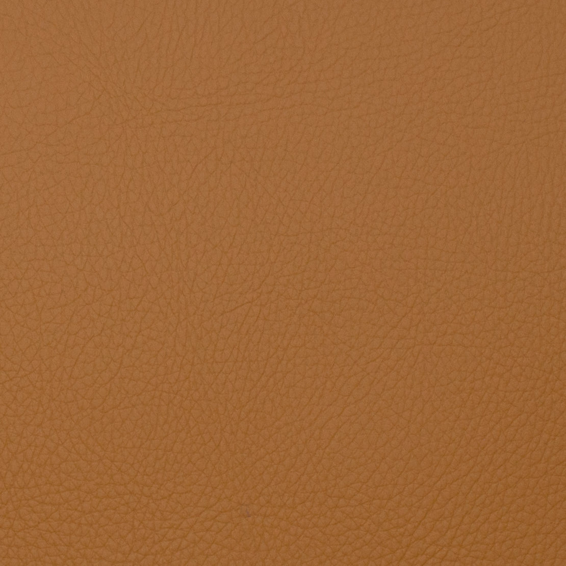 Voyager Orange Mag Fabric Toast - Lightweight & Durable Travel Blanket for Camping, Hiking, and Outdoor Adventures