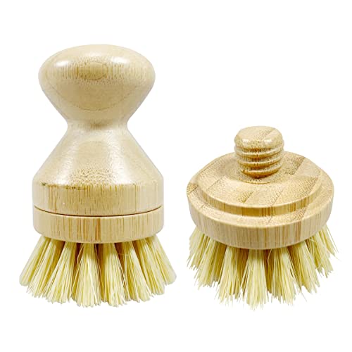 Short Brush & Sisal Brush Head