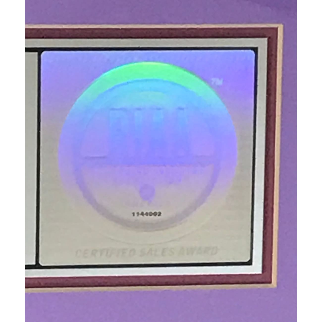 Goo Goo Dolls Dizzy Up The Girl 3x Platinum Album Award - Certified RIAA Multi-Platinum Record - Perfect for Music Collectors & Rock Memorabilia Displays