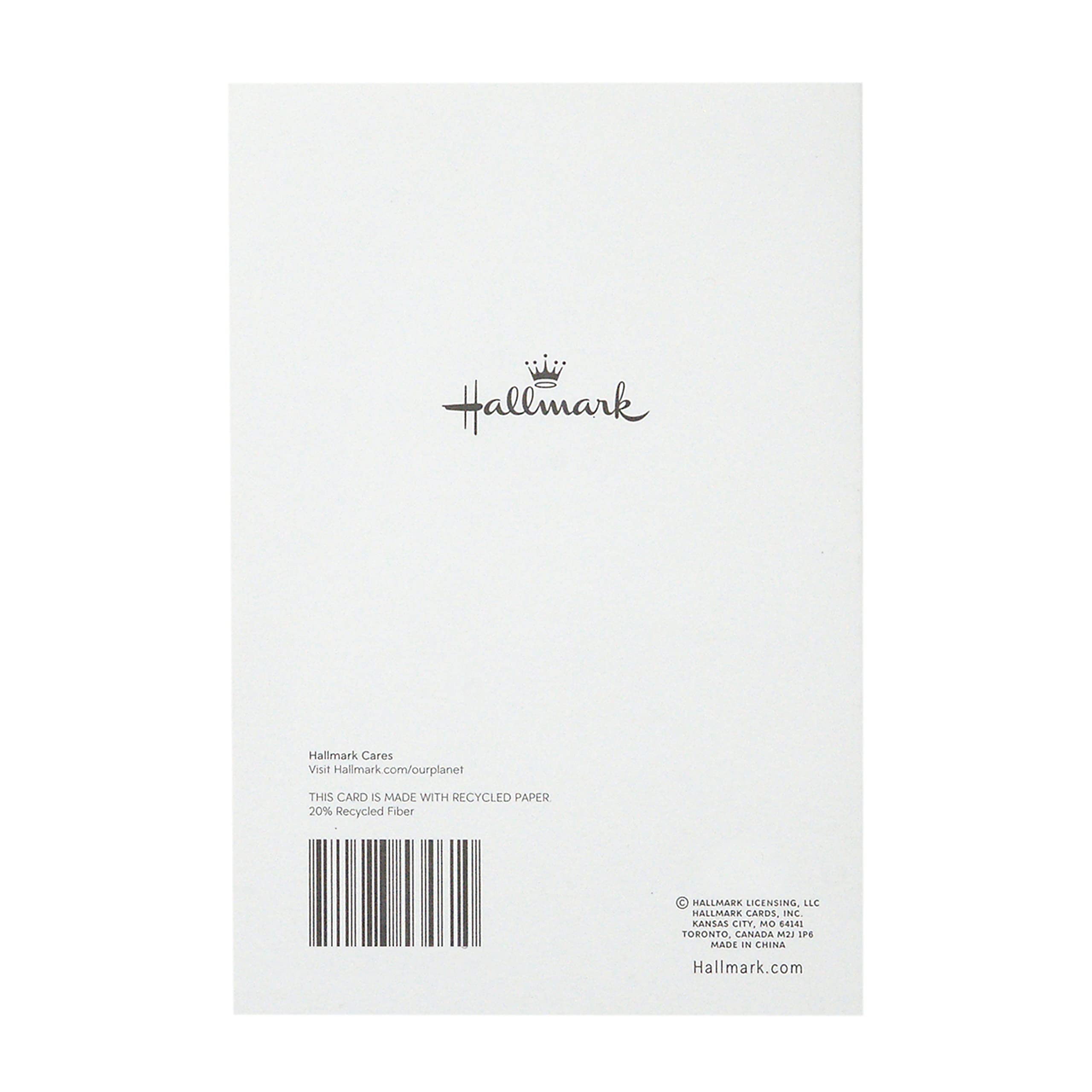 Hallmark Sympathy Cards Assortment Pack - 5 Thoughtful Condolence Cards with Envelopes | Funeral, Memorial Service & Bereavement Gifts | Perfect for Loss of Loved One, Friend or Family Member