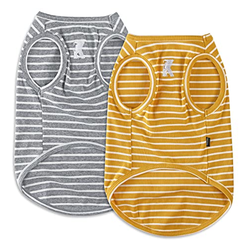 Yellow + Light Grey