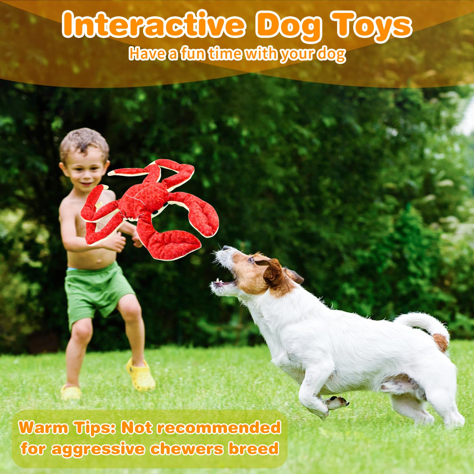 Durable Squeaky Plush Dog Toys for Small, Medium & Large Breeds - Interactive Chew Toys for Aggressive Chewers, Puppy Teething & Indoor/Outdoor Playtime