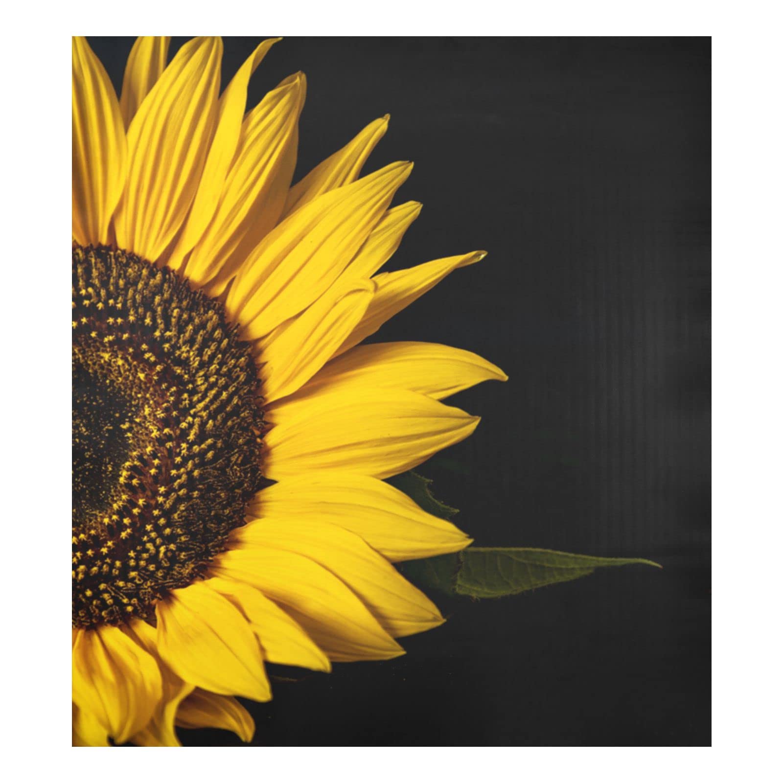 UMIRIKO Sunflower Dishwasher Magnet Cover - Decorative Magnetic Panel for Dishwasher & Refrigerator - Removable Vinyl Decal (20221958) - Perfect for Kitchen Decor, Home Renovation & Appliance Protection