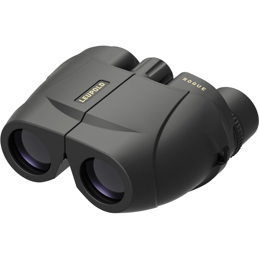 Leupold BX-1 Rogue 10x25 Compact Binoculars - Lightweight & Waterproof for Hunting, Hiking, Bird Watching & Outdoor Adventures