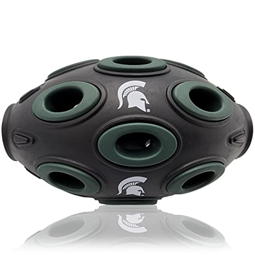Michigan State Spartans