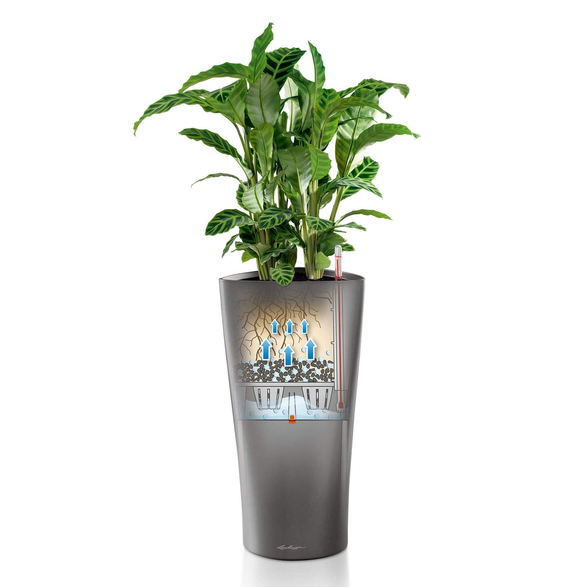 Lechuza Delta 30 Self-Watering Planter - 11.8