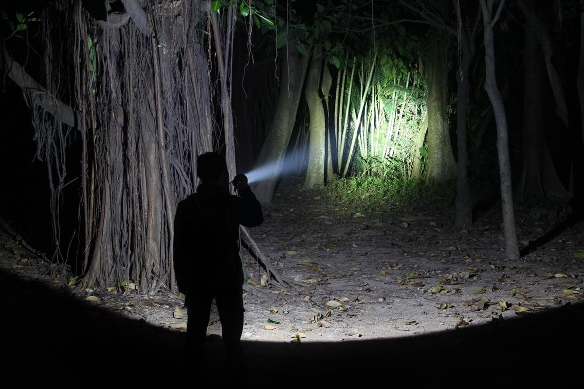 Fenix TK61 High-Power LED Flashlight - Long Range, Durable & Bright - Perfect for Camping, Hiking & Outdoor Adventures