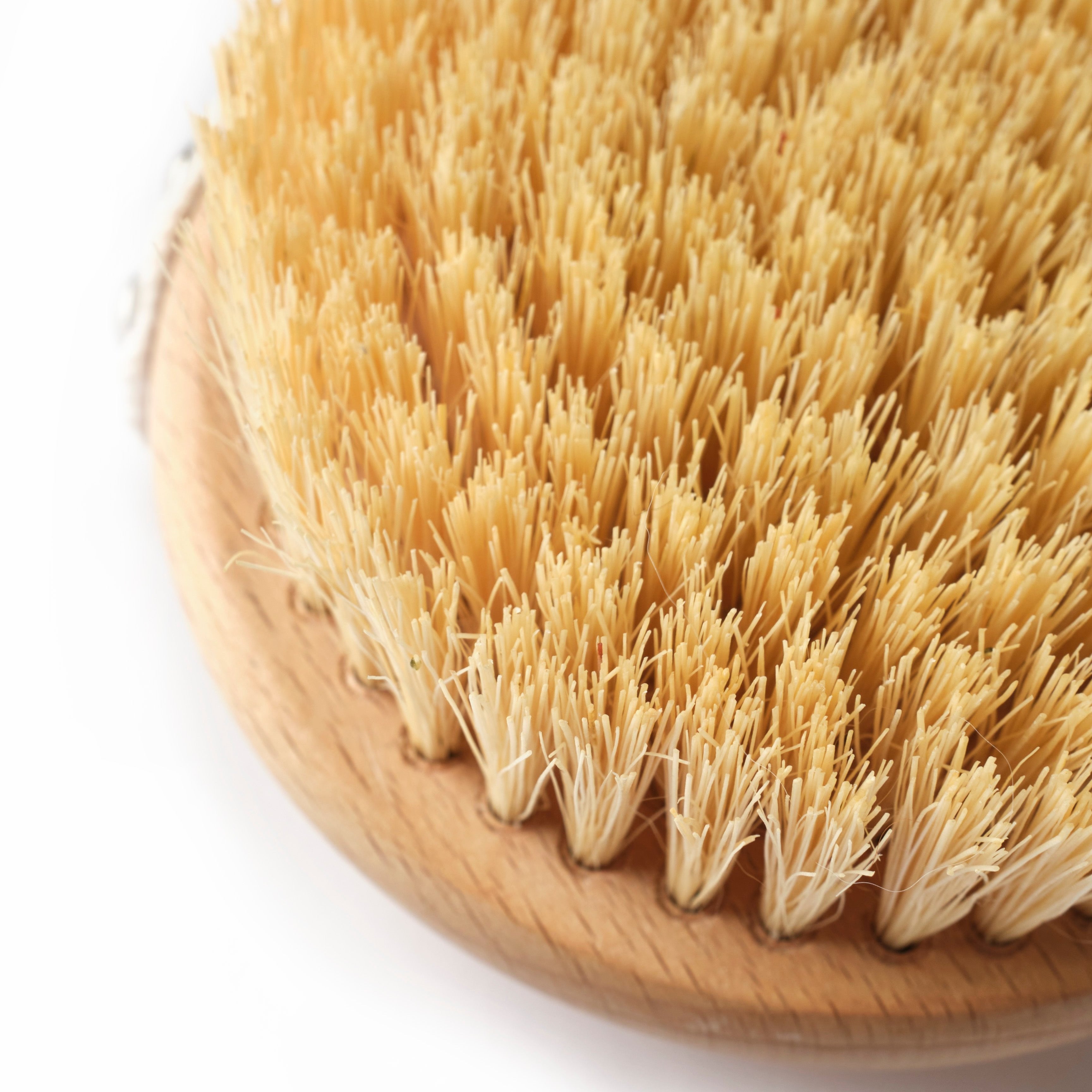 Exfoliating Dry Body Brush for Smooth Skin - Natural Bristle for Cellulite Reduction & Lymphatic Drainage - Perfect for Dry Brushing Before Shower or Spa Day