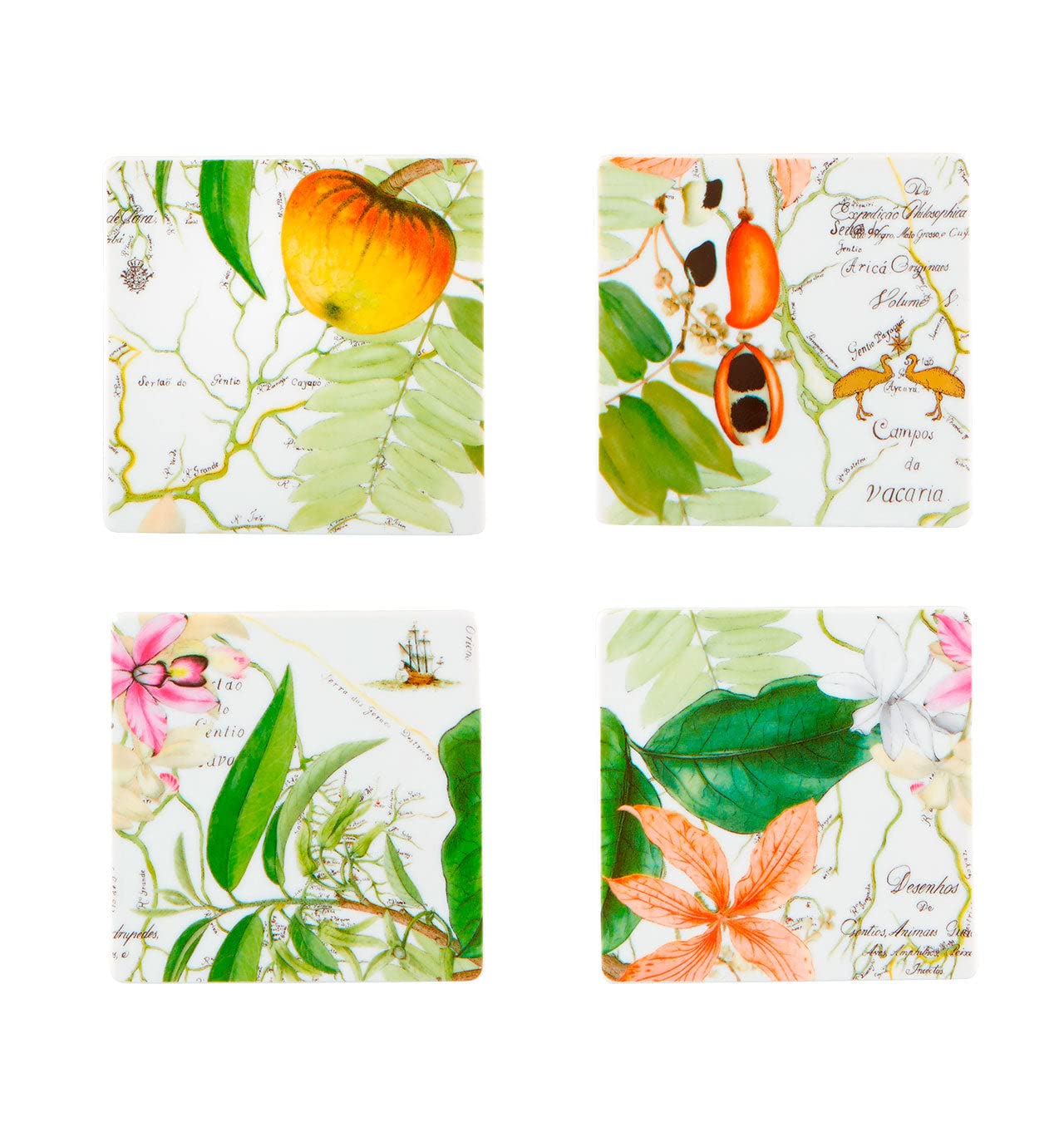 Vista Alegre Amazonia Set of 4 Absorbent Coasters - Tropical Leaf Design for Coffee Tables, Dining Tables & Home Decor