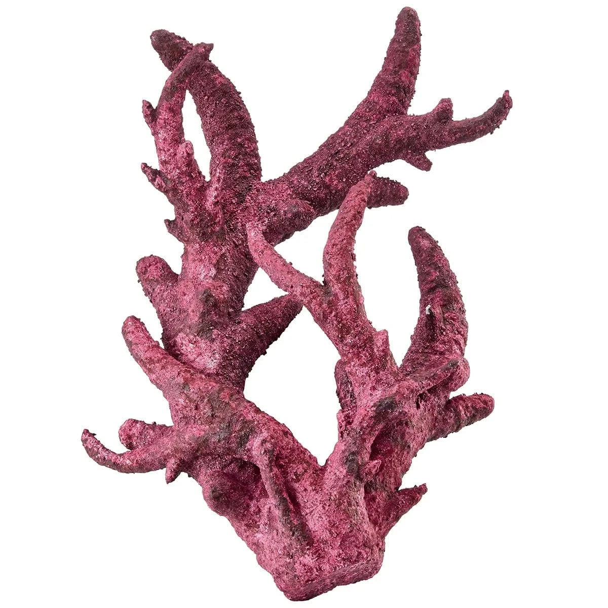 Premium Real Reef Branch Rock - 30 lbs Box for Saltwater Aquariums | Natural Coral Decor for Marine Tanks, Fish Habitats & Reef Aquascaping