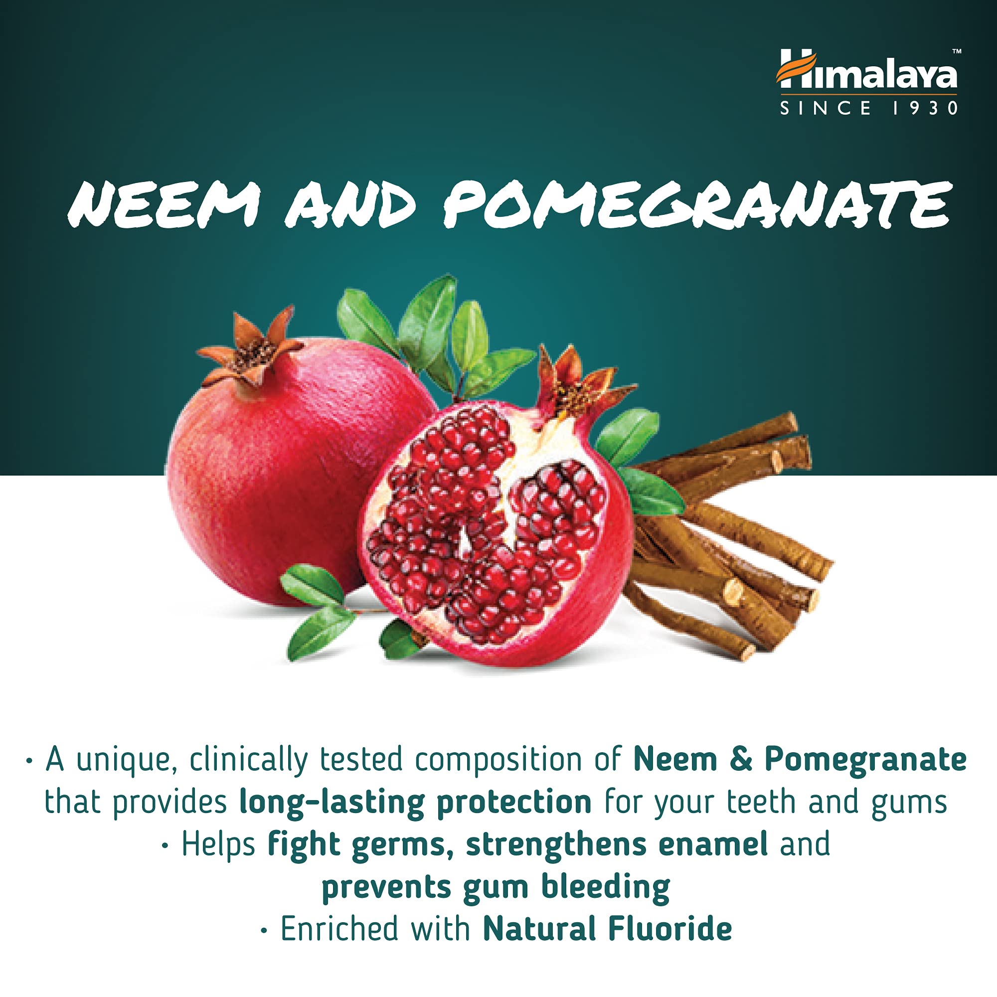 Himalaya Ayurvedic Neem & Pomegranate Herbal Toothpaste - 100g Natural Fluoride Dental Cream for Teeth & Gum Protection | Fights Plaque, Strengthens Enamel | Ideal for Daily Oral Care & Sensitive Teeth