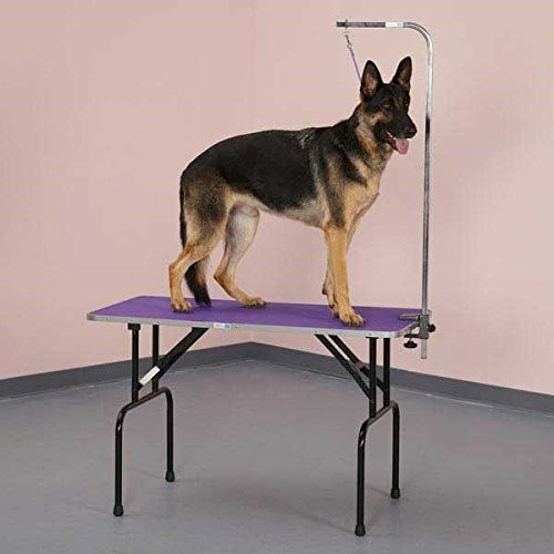 Sturdy Folding Grooming Table with Arm & Loop - 48