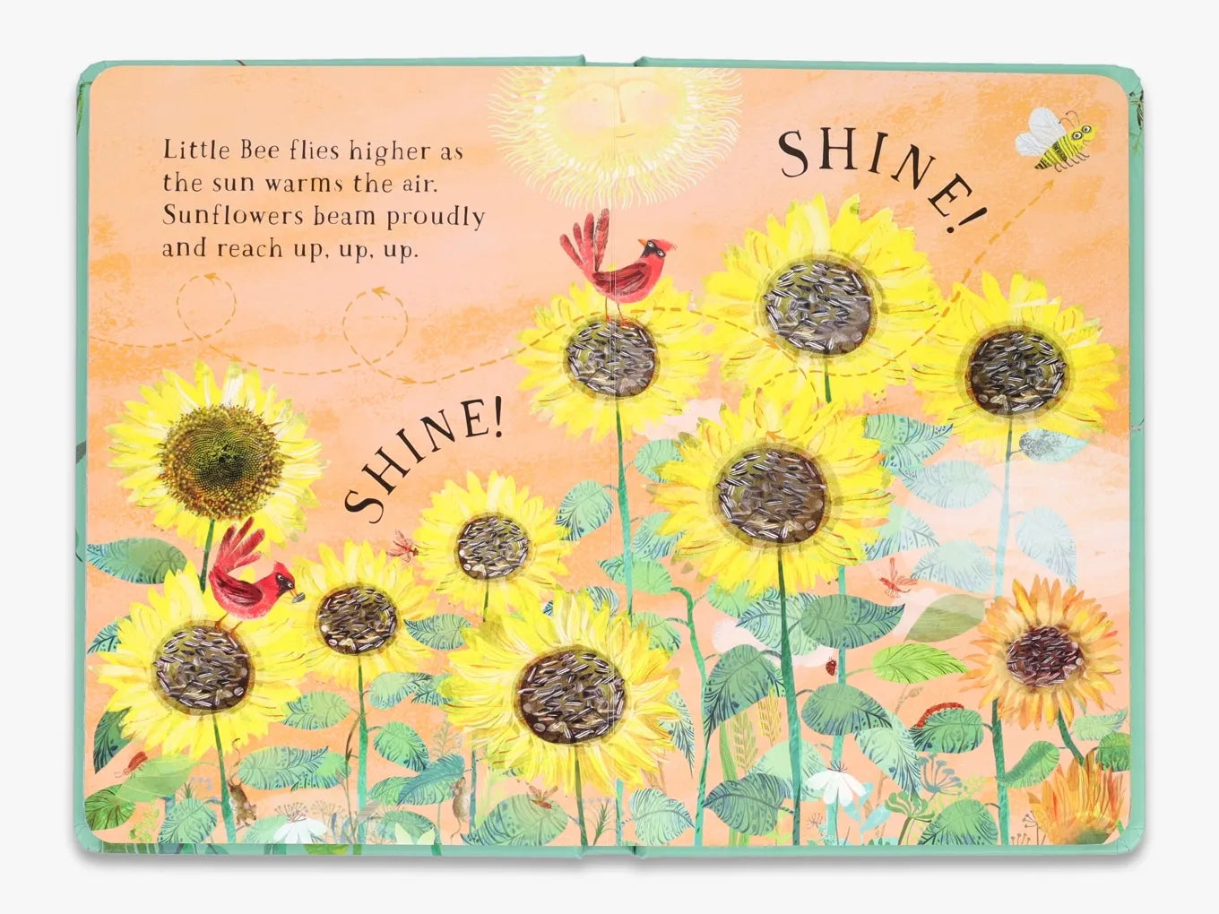 Little Bee's Book of Blooms - The Big Book Series | Educational Children's Nature Book About Flowers & Pollination | Perfect for Homeschooling, Classroom Learning & Nature Exploration