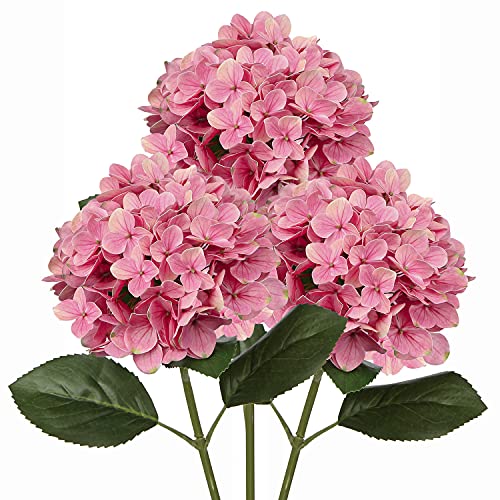 Pink #3