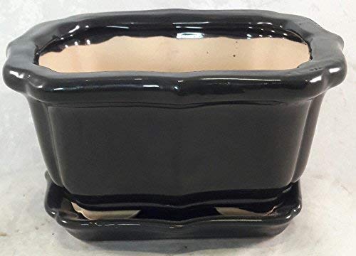 6 Inch Black Bonsai Tree Pot with Drainage Tray - Premium Ceramic Planter for Indoor Plants, Mini Garden, Zen Decor - Perfect for Home Office, Balcony & Gift Giving
