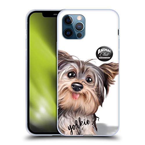 Yorkie