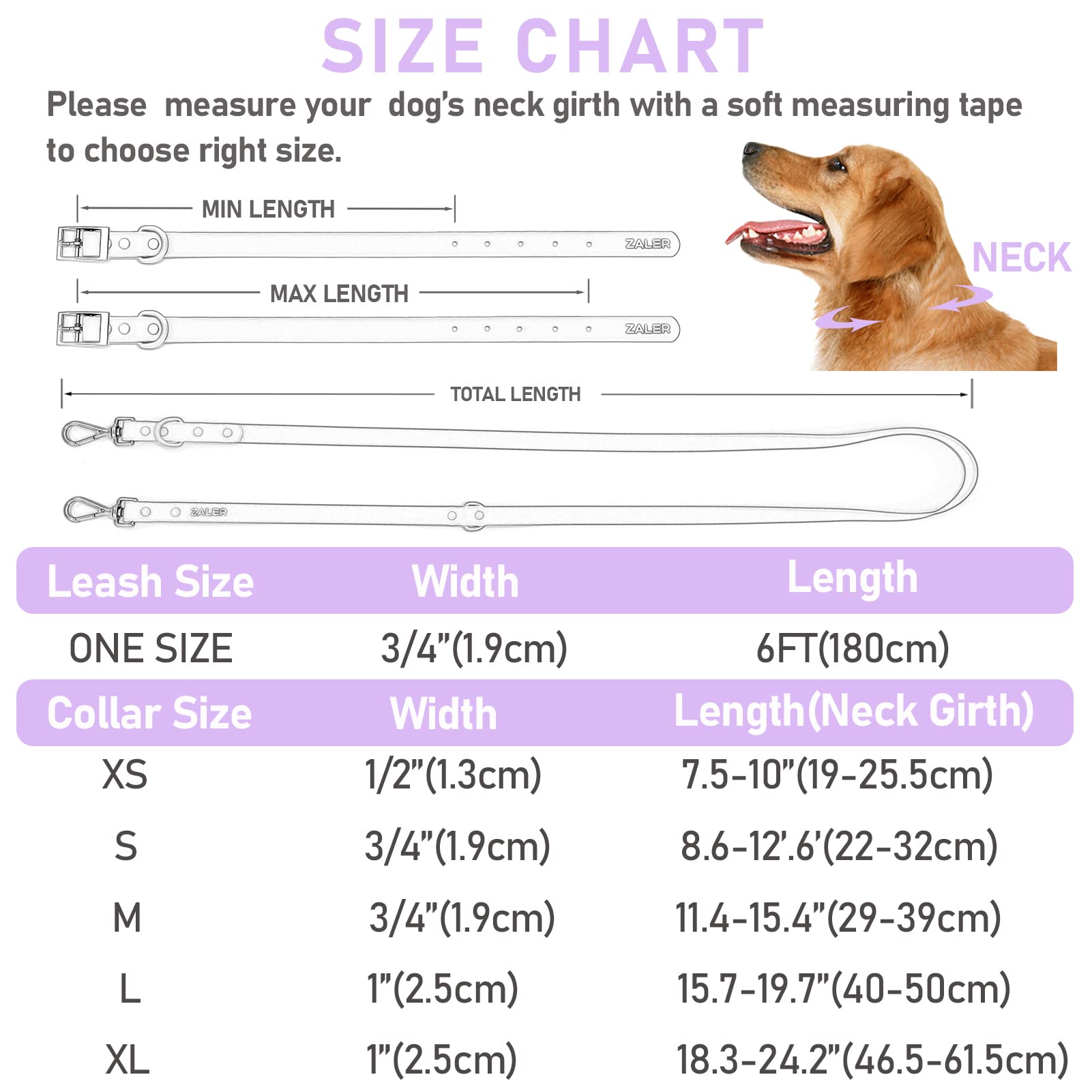 Waterproof Adjustable Dog Collar and Leash Set - Odor Proof, Easy Clean Pet Collar with 6FT Leash & 2 Hooks for Small Medium Large Dogs (Size S, Purple) - Perfect for Walking, Training & Outdoor Adventures