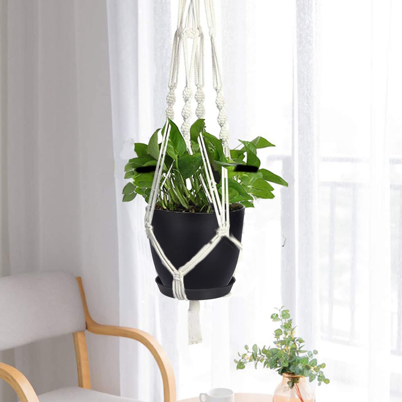 12 Pack 6 Inch Black Plastic Plant Pots with Drainage Holes & Saucers - Modern Indoor Outdoor Flower Planters for Home Garden, Office Decor, and Patio Plants