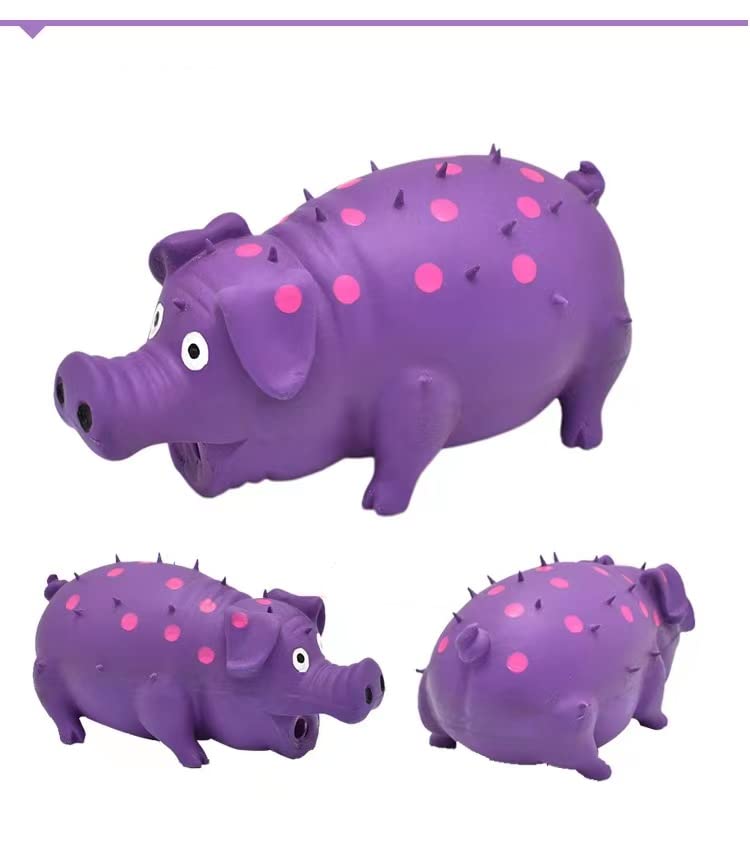 Squeaky Pig Dog Toys 2 Pack - Grunting Oinking Noise Dog Chew Toys for Small, Medium & Large Breeds - Interactive Play for Indoor & Outdoor Fun