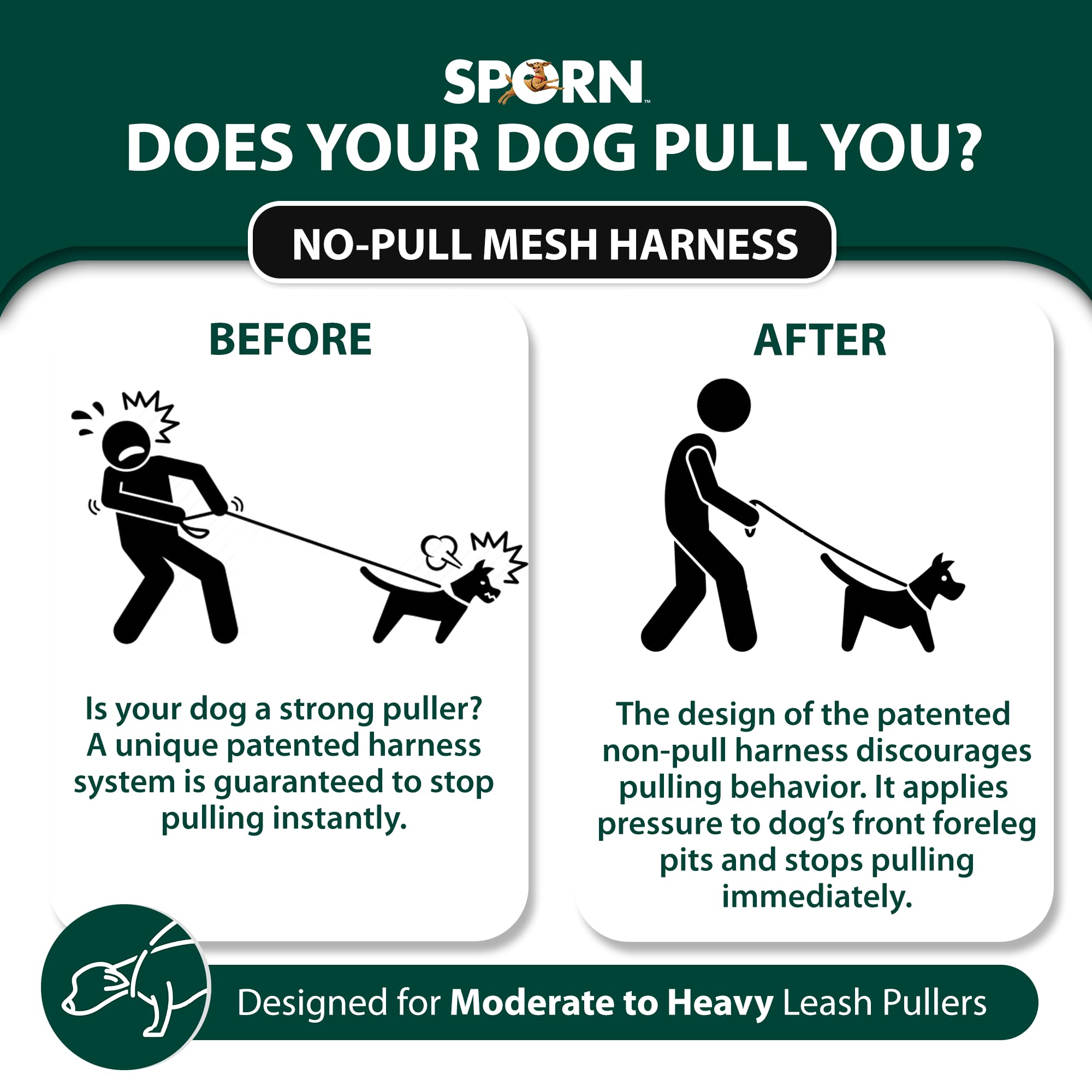 No Pull Dog Harness for Small Breeds - Breathable Black Mesh & Durable Nylon Anti Pull Harness - Comfortable & Easy to Use Pet Body Harness - Perfect for Walking, Training & Outdoor Adventures
