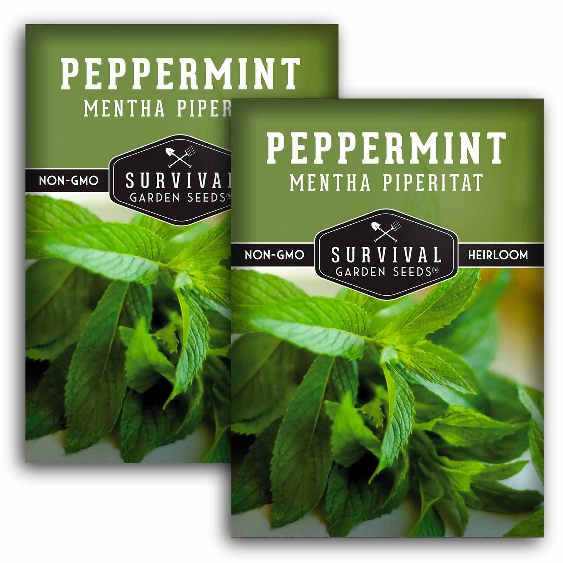 Organic Peppermint Seeds for Planting - Non-GMO, High Germination Rate - Perfect for Home Garden, Herbal Tea & Culinary Use