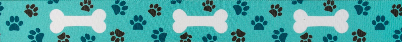 Country Brook Design - Oh My Dog Polyester Webbing Dog Collar & Leash Set - Durable Pet Accessories for Small Medium Large Dogs - Perfect for Walking Training & Outdoor Adventures