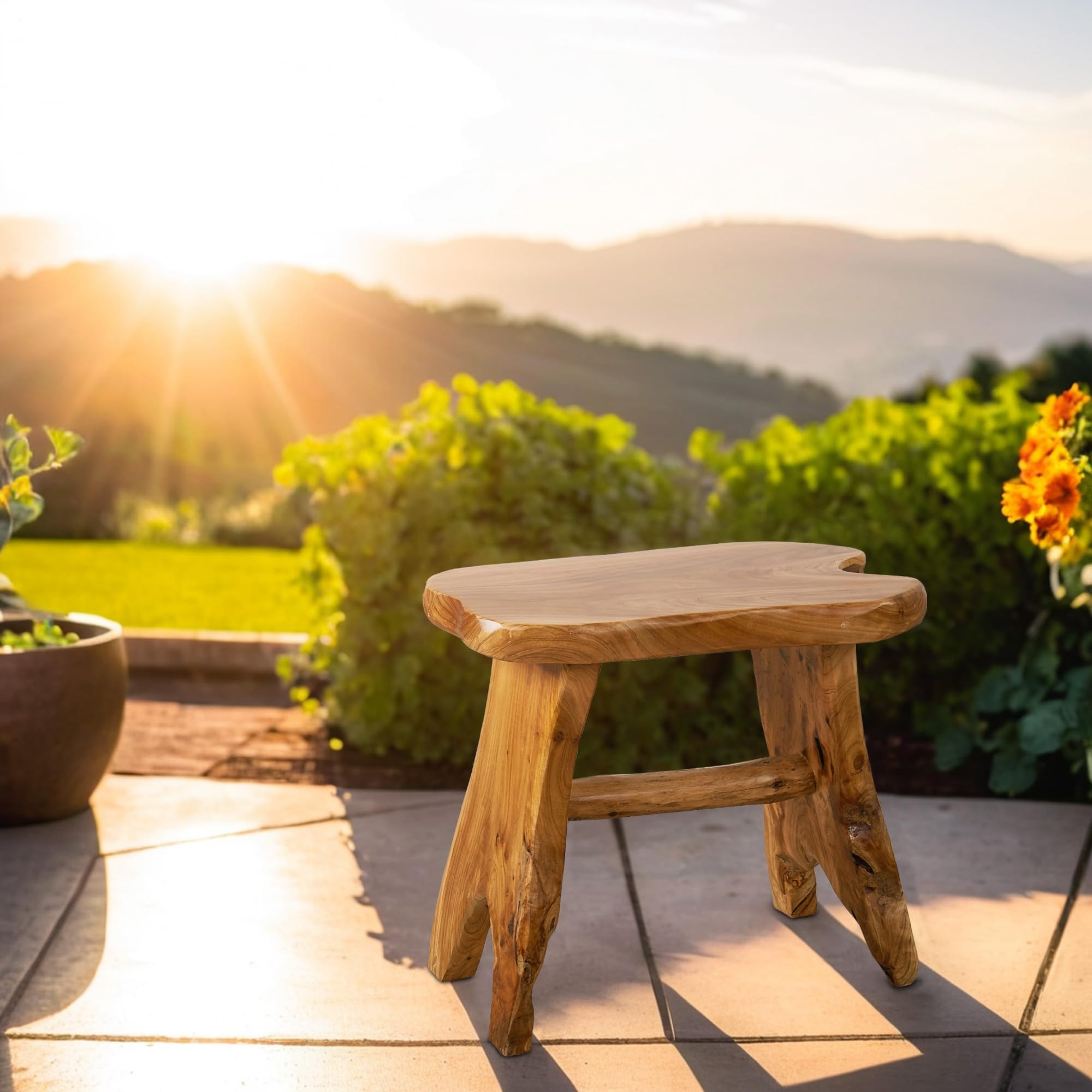 Natural Cedar Root Stump Stool - Solid Wood Live Edge Side Table, Rustic Plant Stand & Vintage Footrest (20