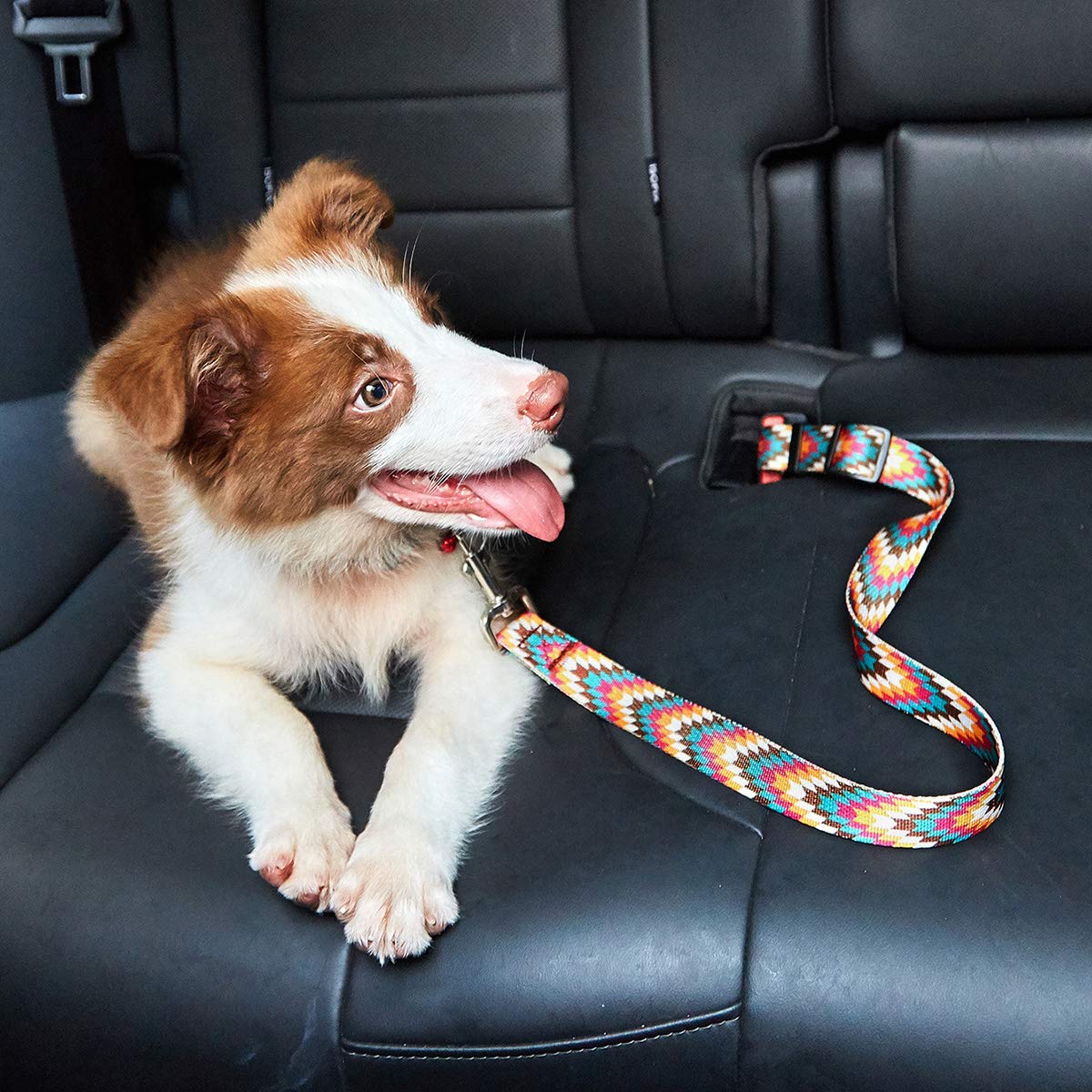 Dihapet Adjustable Pet Seat Belt for Dogs & Cats - Car Safety Harness for Small, Medium & Large Breeds | Secure Your Puppy During Travel | Perfect for Road Trips & Daily Commutes