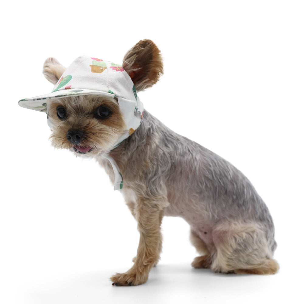 Cactus Hat for Women & Men - Trendy Sun Protection Summer Hat for Outdoor Activities, Beach, Hiking, and Gardening