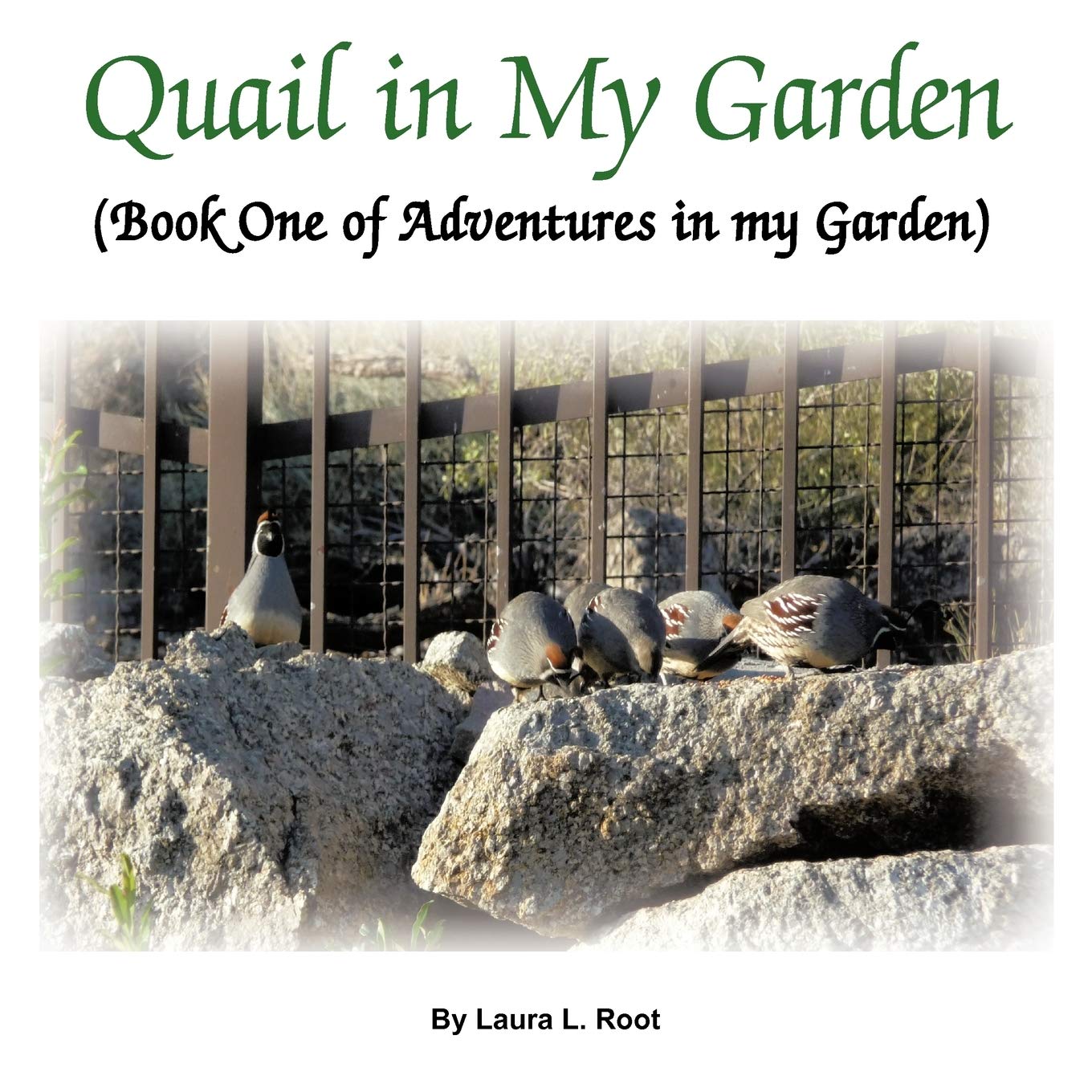 Quail in My Garden: Book One of Adventures in My Garden - Children's Nature Exploration Story for Outdoor Learning & Backyard Wildlife Discovery