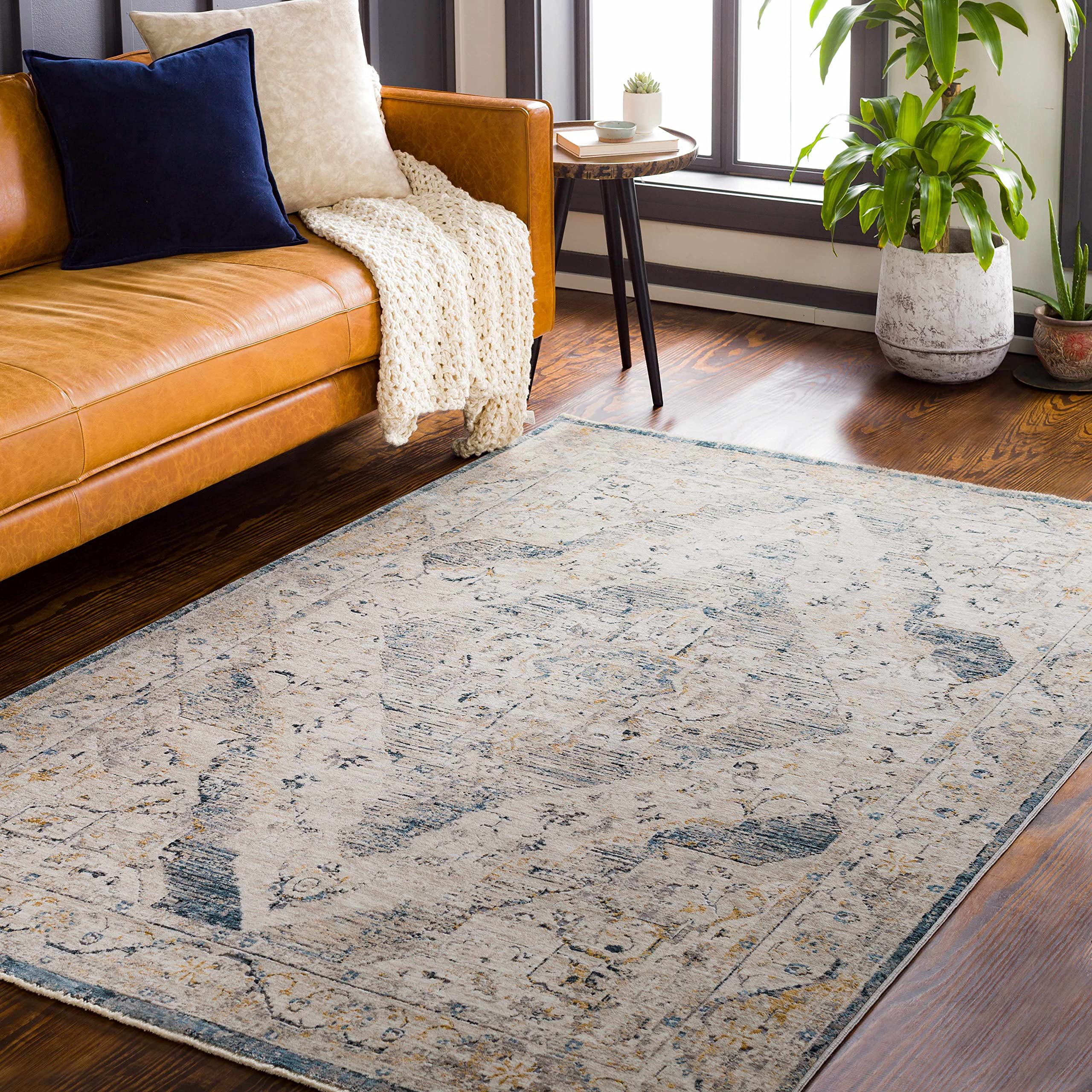 Hauteloom Wadeye Traditional Gray and Blue Area Rug 2'7
